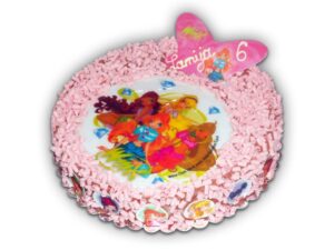 Rođendanska Torta 14
