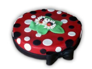 Rođendanska Torta 30